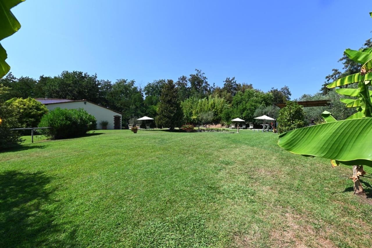 Agriturismo Corte Stefani Capannori Ngoại thất bức ảnh