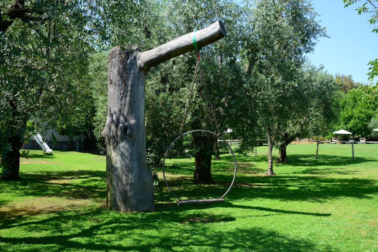 Agriturismo Corte Stefani Capannori Ngoại thất bức ảnh