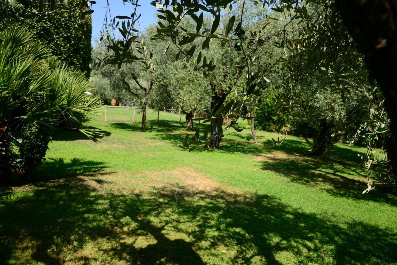 Agriturismo Corte Stefani Capannori Ngoại thất bức ảnh