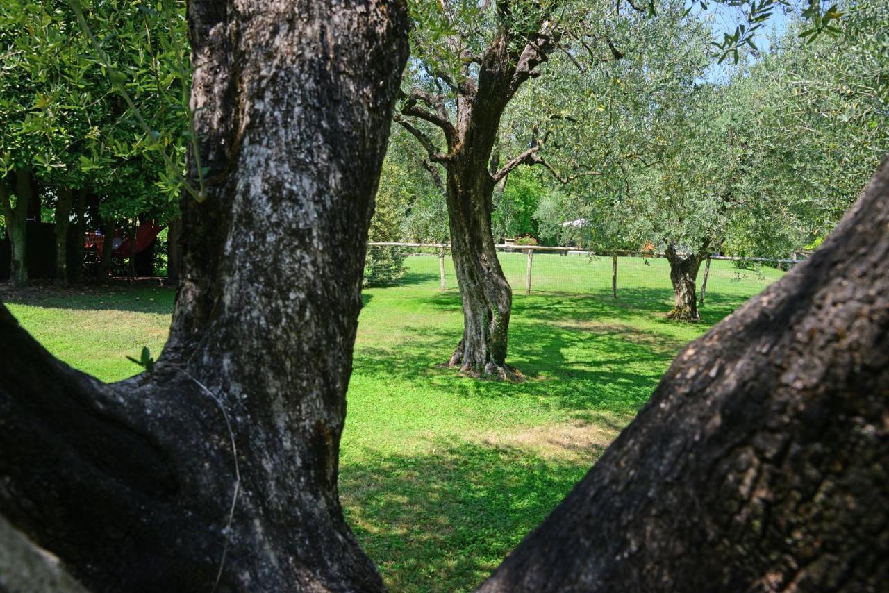Agriturismo Corte Stefani Capannori Ngoại thất bức ảnh