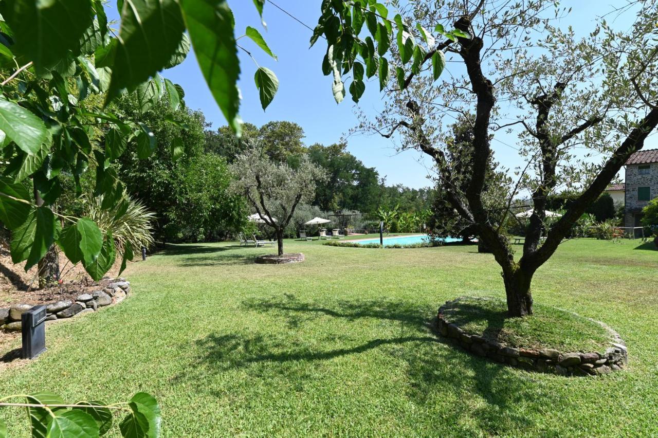 Agriturismo Corte Stefani Capannori Ngoại thất bức ảnh
