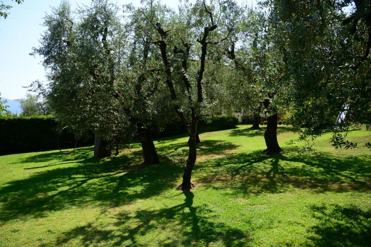 Agriturismo Corte Stefani Capannori Ngoại thất bức ảnh