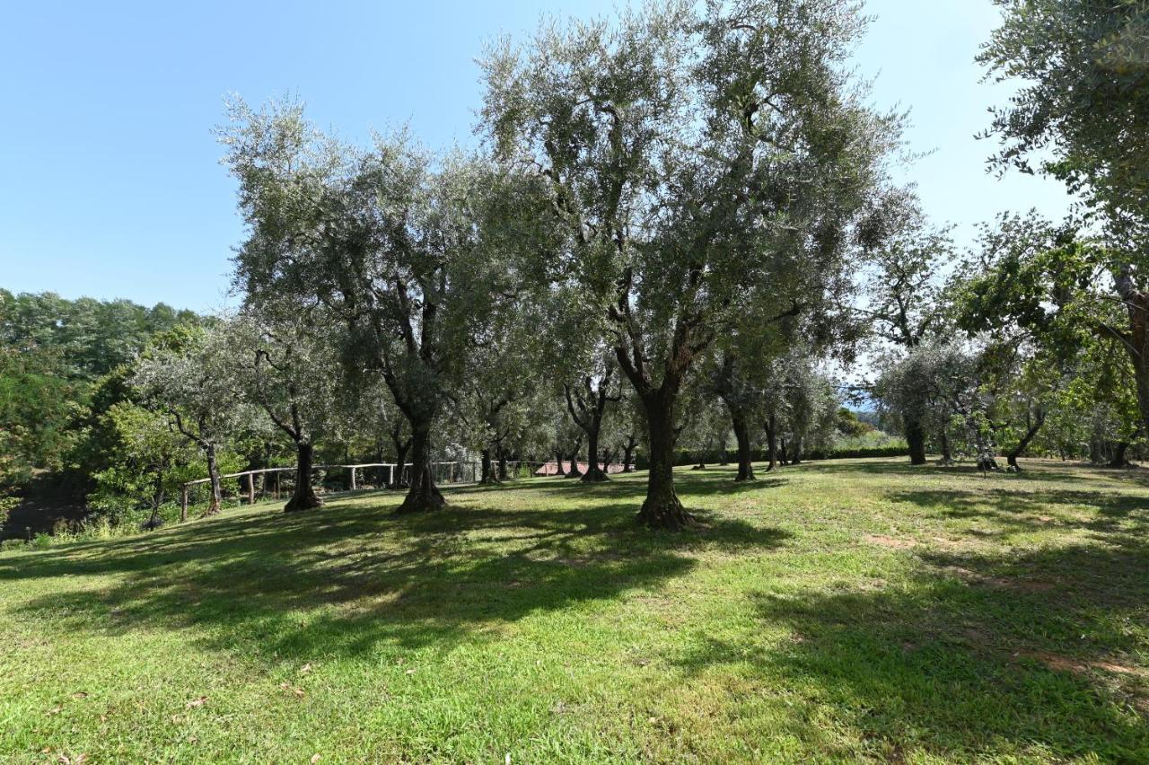 Agriturismo Corte Stefani Capannori Ngoại thất bức ảnh