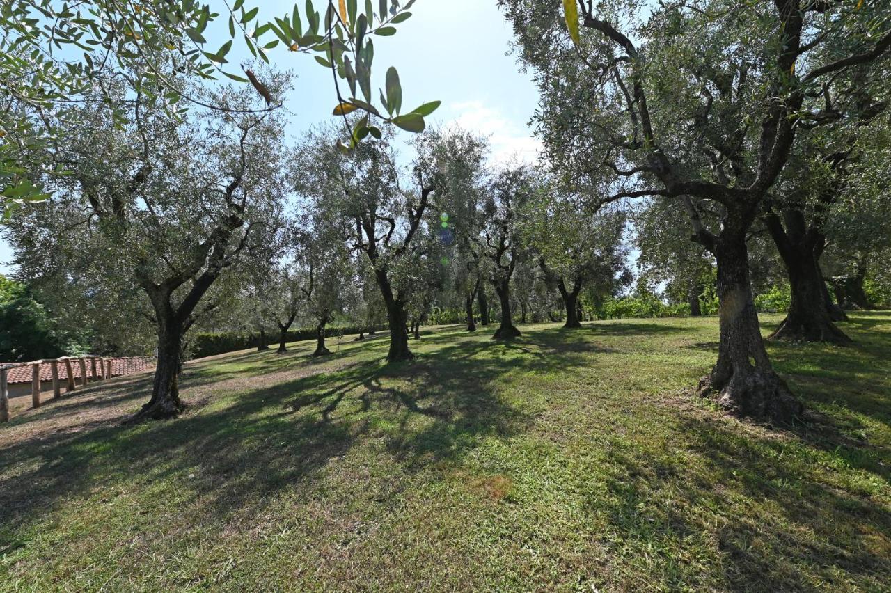 Agriturismo Corte Stefani Capannori Ngoại thất bức ảnh